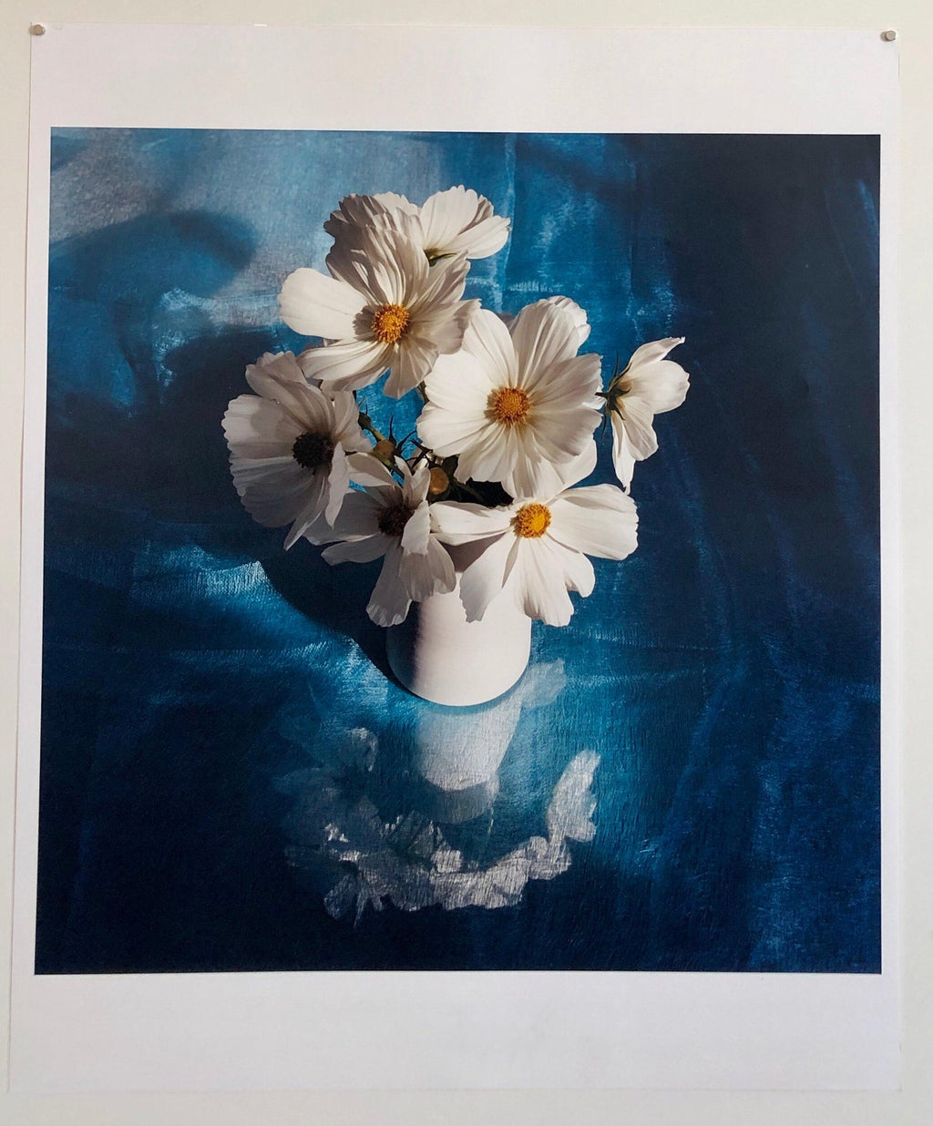 White Cosmo, Cocktail, Large Format Photo 24X20 Color Photograph Beach House