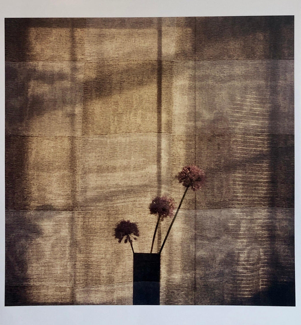 Checkered Alliums, Large Format Photo 24X20 Color Photograph Beach House RI