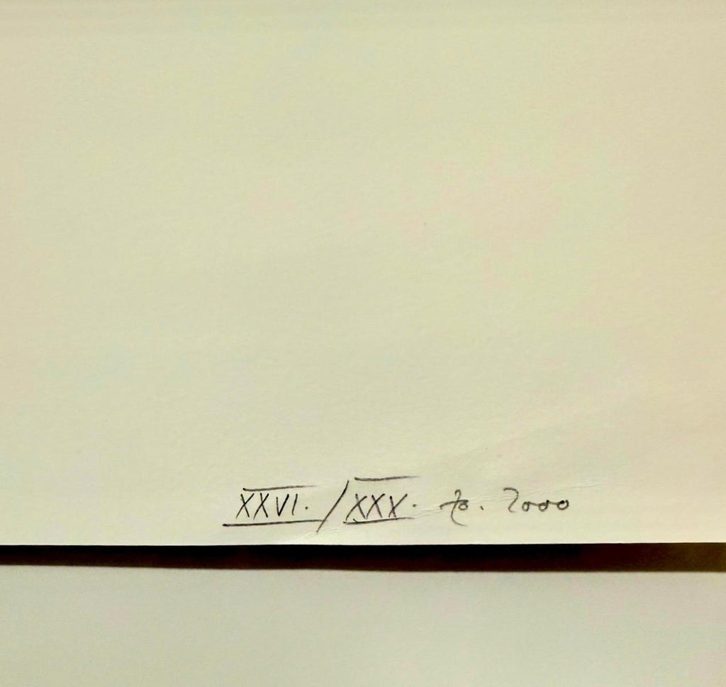 Swiss Contemporary Art Beat Zoderer Abstract Color Constructivist Screenprint
