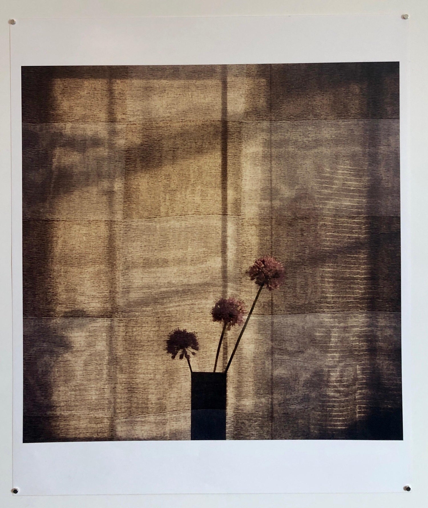 Checkered Alliums, Large Format Photo 24X20 Color Photograph Beach House RI
