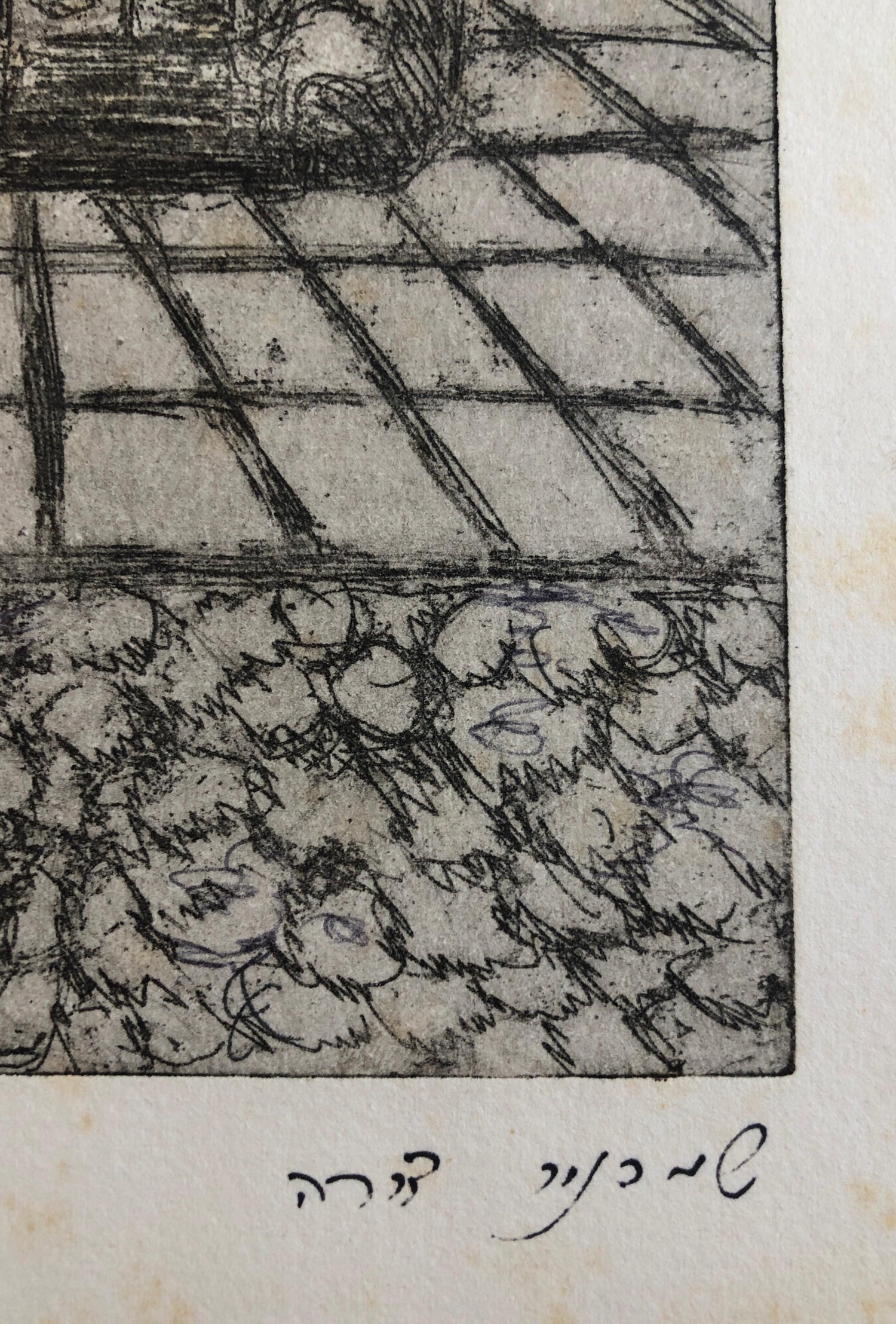 Vienna Austria Jewish Memorial Etching Destroyed Synagogue Folk Art Judaica