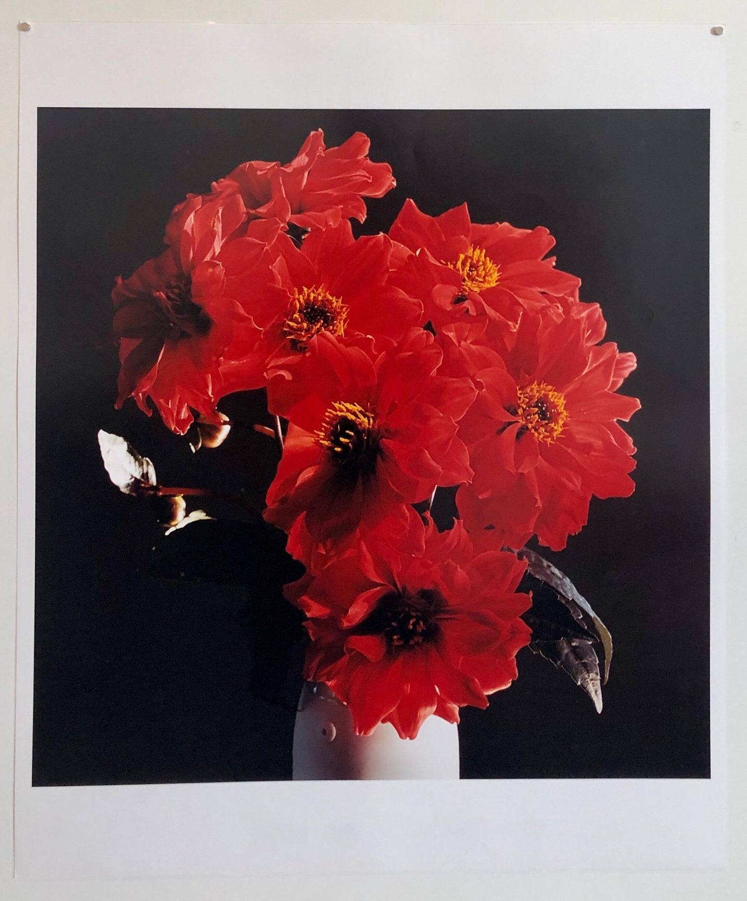 Basket of Lilies, Large Format Flowers Photo 24X20 Color Photograph Beach House