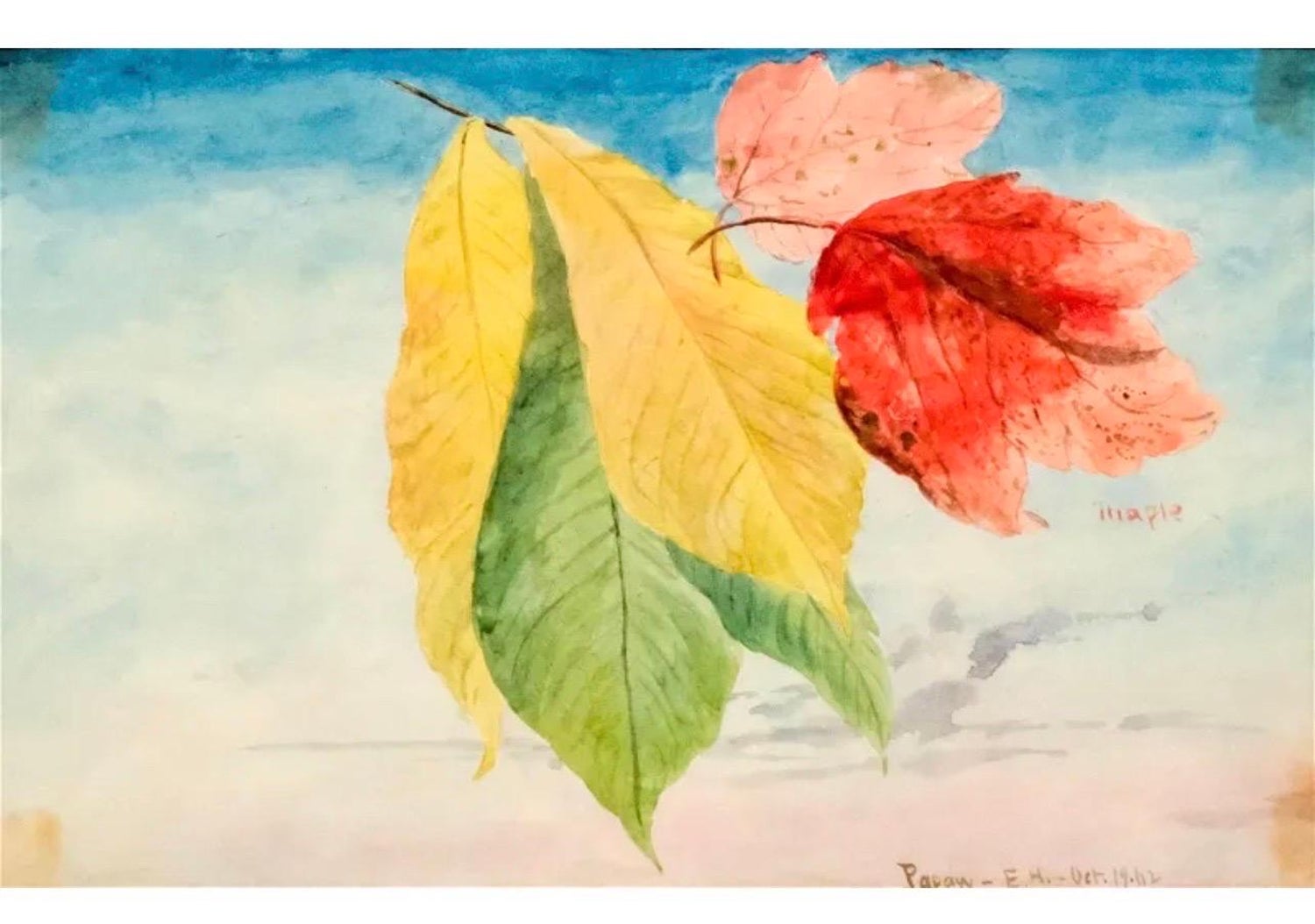 Maple Leaves Watercolor Painting 19th C. American Artist Charles DeWolf Brownell