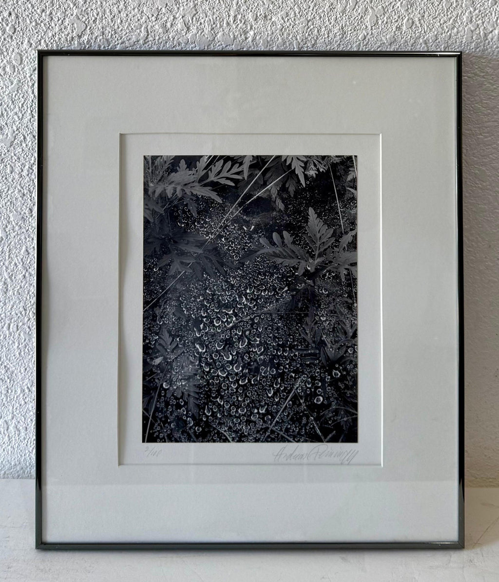 American Photographer Andreas Feininger Silver Gelatin Vintage Print