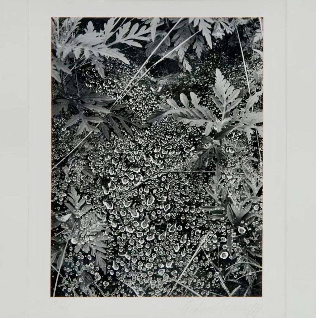 American Photographer Andreas Feininger Silver Gelatin Vintage Print