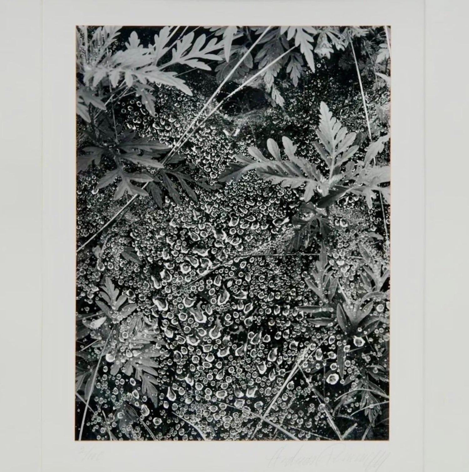 American Photographer Andreas Feininger Silver Gelatin Vintage Print