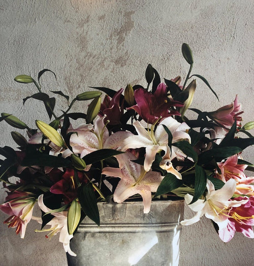 Basket of Lilies, Large Format Flowers Photo 24X20 Color Photograph Beach House