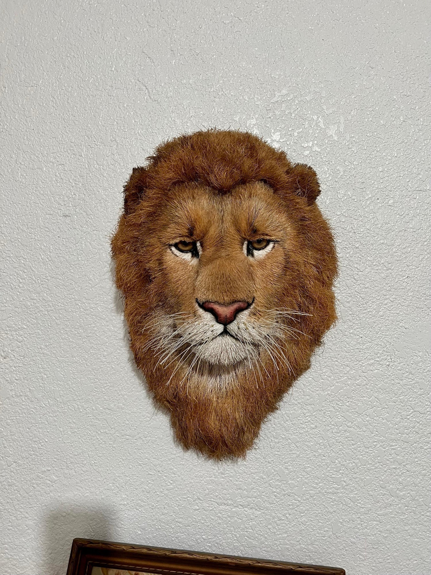 Lions Head Big Game Trophy Natural Sisal Fiber Sculpture Lion Anne Andersson Art