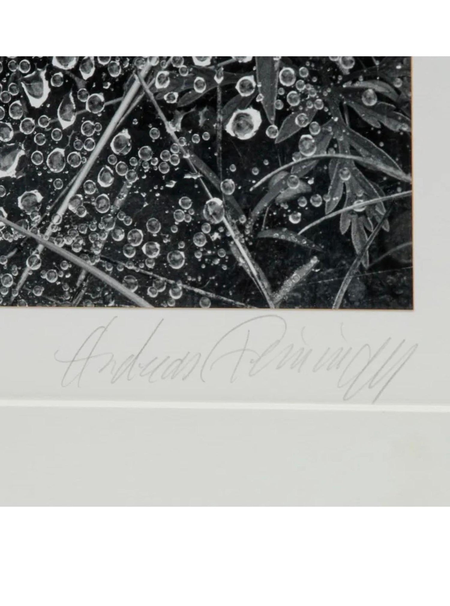 American Photographer Andreas Feininger Silver Gelatin Vintage Print