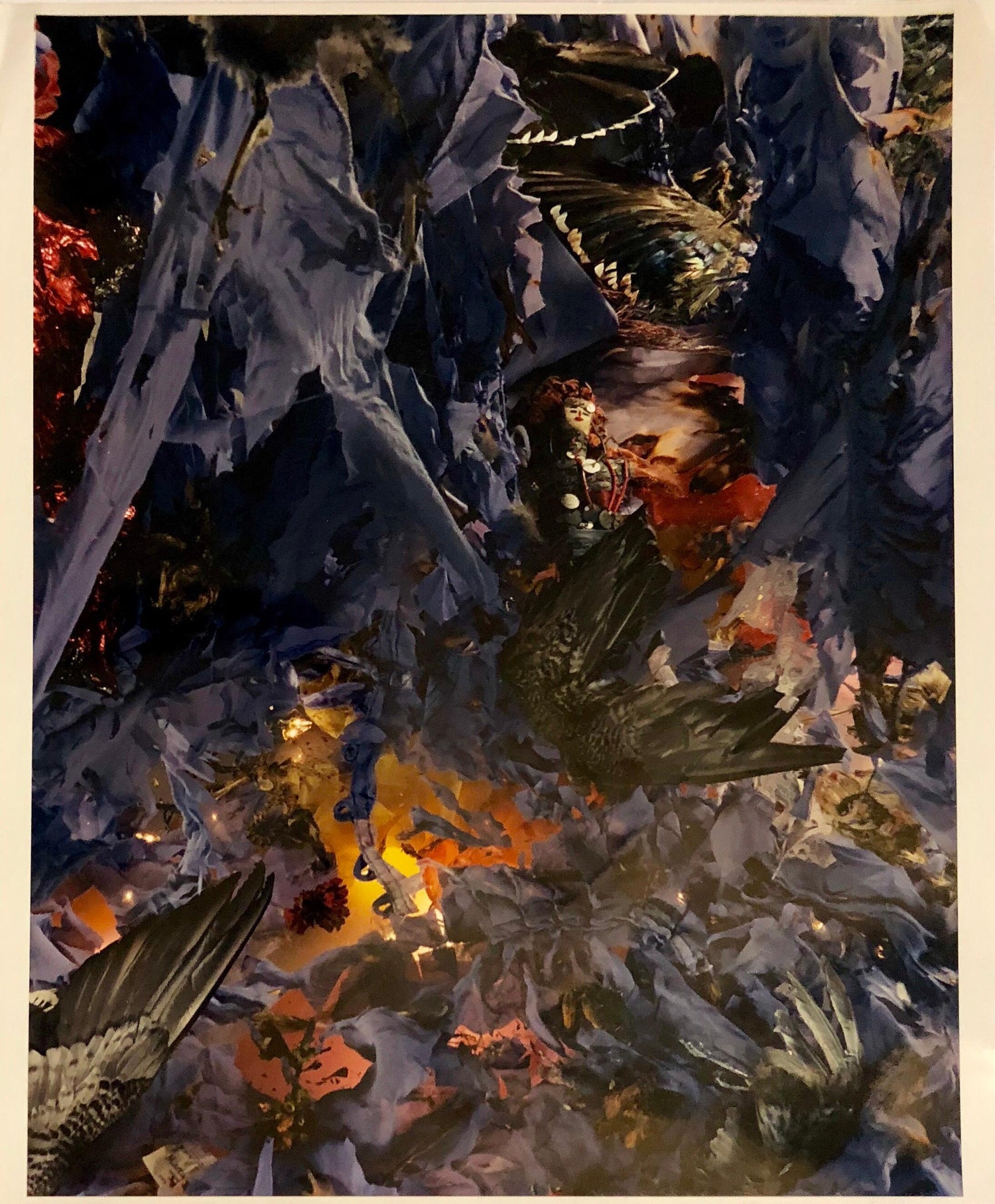 Birds, Cibachrome Photograph Print, Signed Conceptual Art