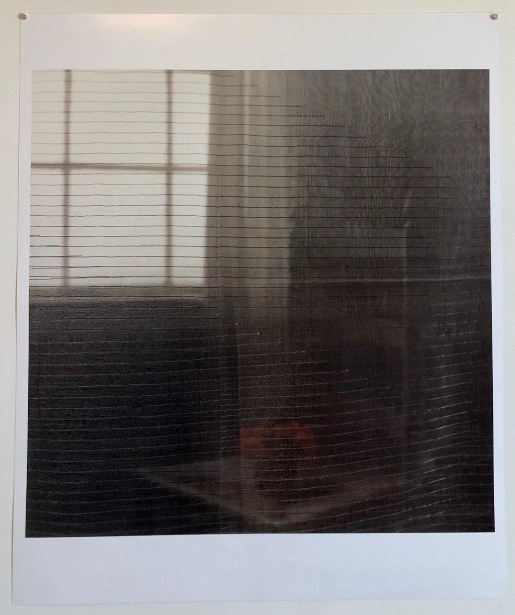 Gray Afternoon, Large Format Flower Photo 24X20 Color Photograph Beach House