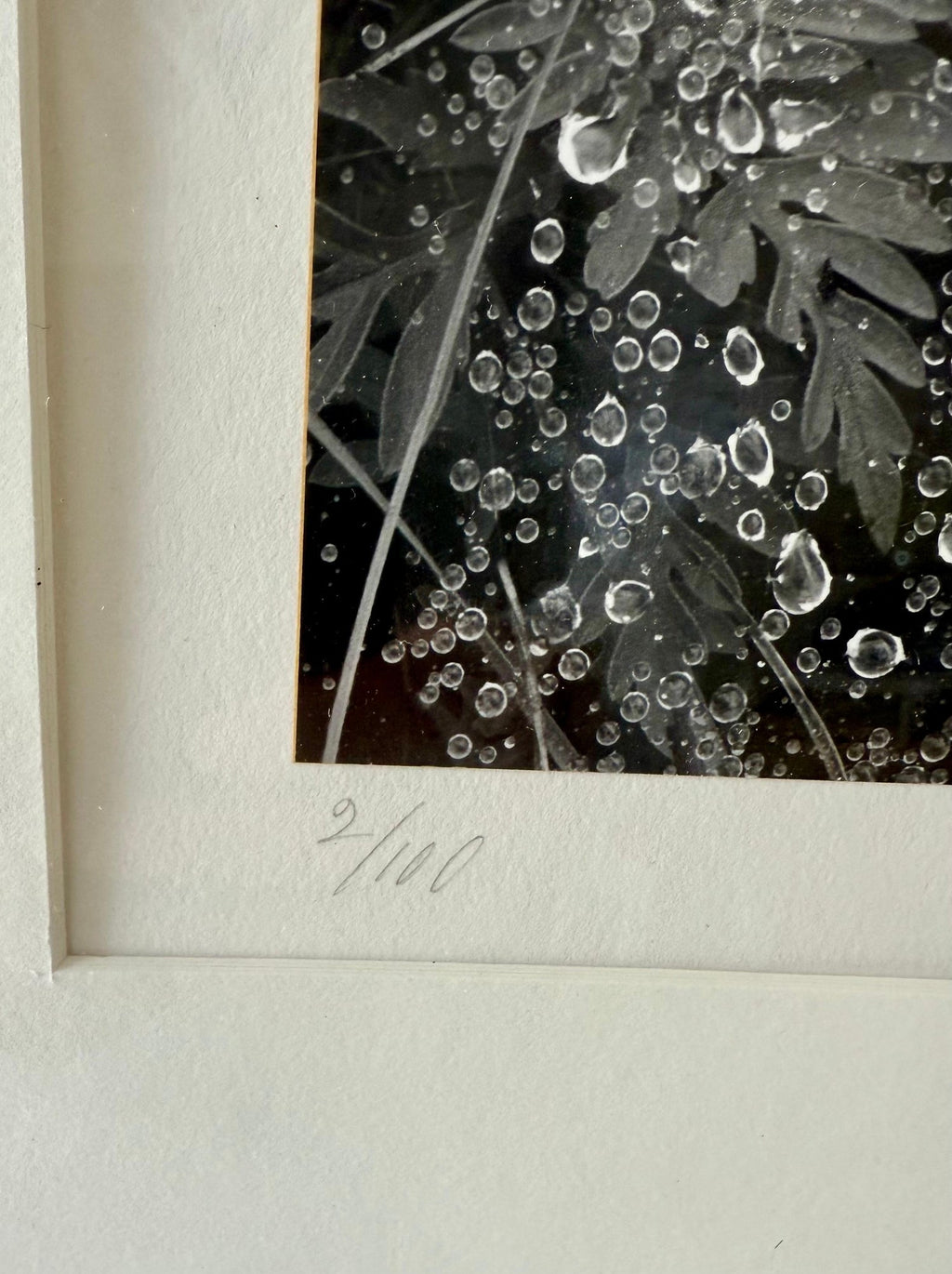 American Photographer Andreas Feininger Silver Gelatin Vintage Print