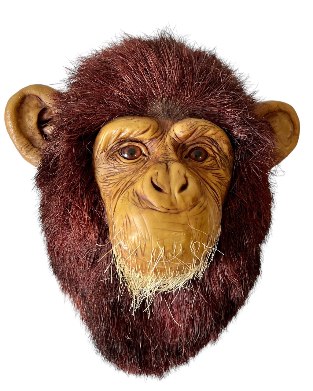 Monkey Head Natural Sisal Fiber Clay Sculpture Chimpanzee Anne Andersson Art
