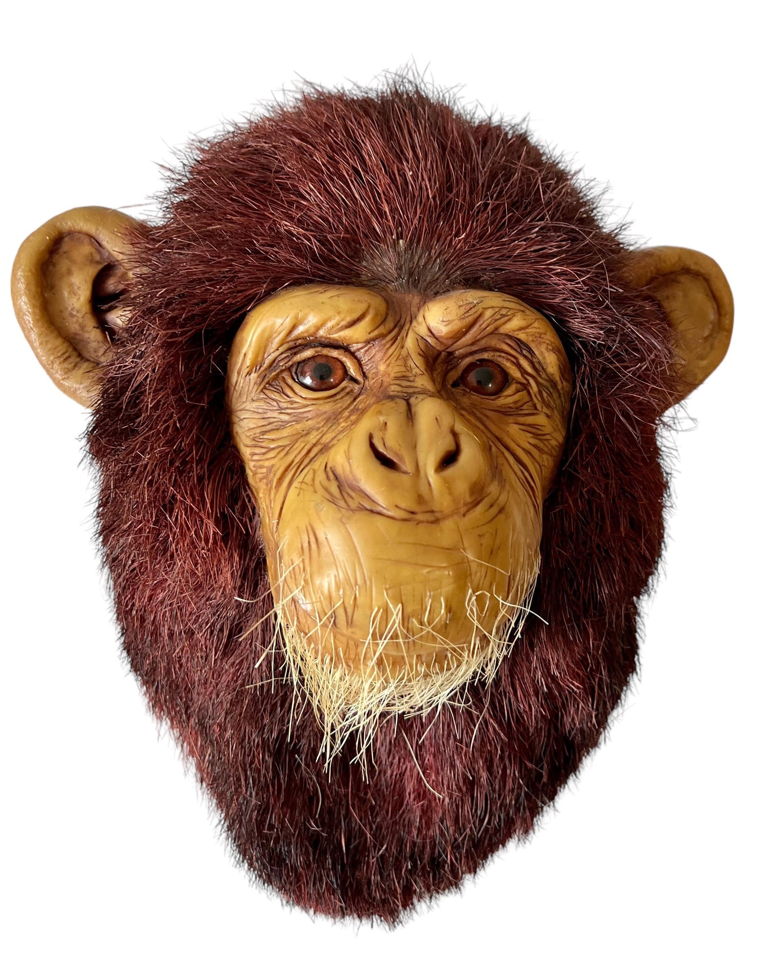 Monkey Head Natural Sisal Fiber Clay Sculpture Chimpanzee Anne Andersson Art