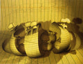 Digital Iris Print "Theatres of the Body " Pencil Signed w Initials ed. of 15
