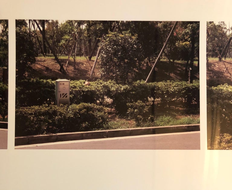 Vintage Color Photograph 'Hiding, Tokyo, Japan' 4 Photo Quadriptych Signed Ed.6