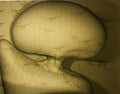 Digital Iris Print "Classic Anomalies" Pencil Signed with Initials edition of 15