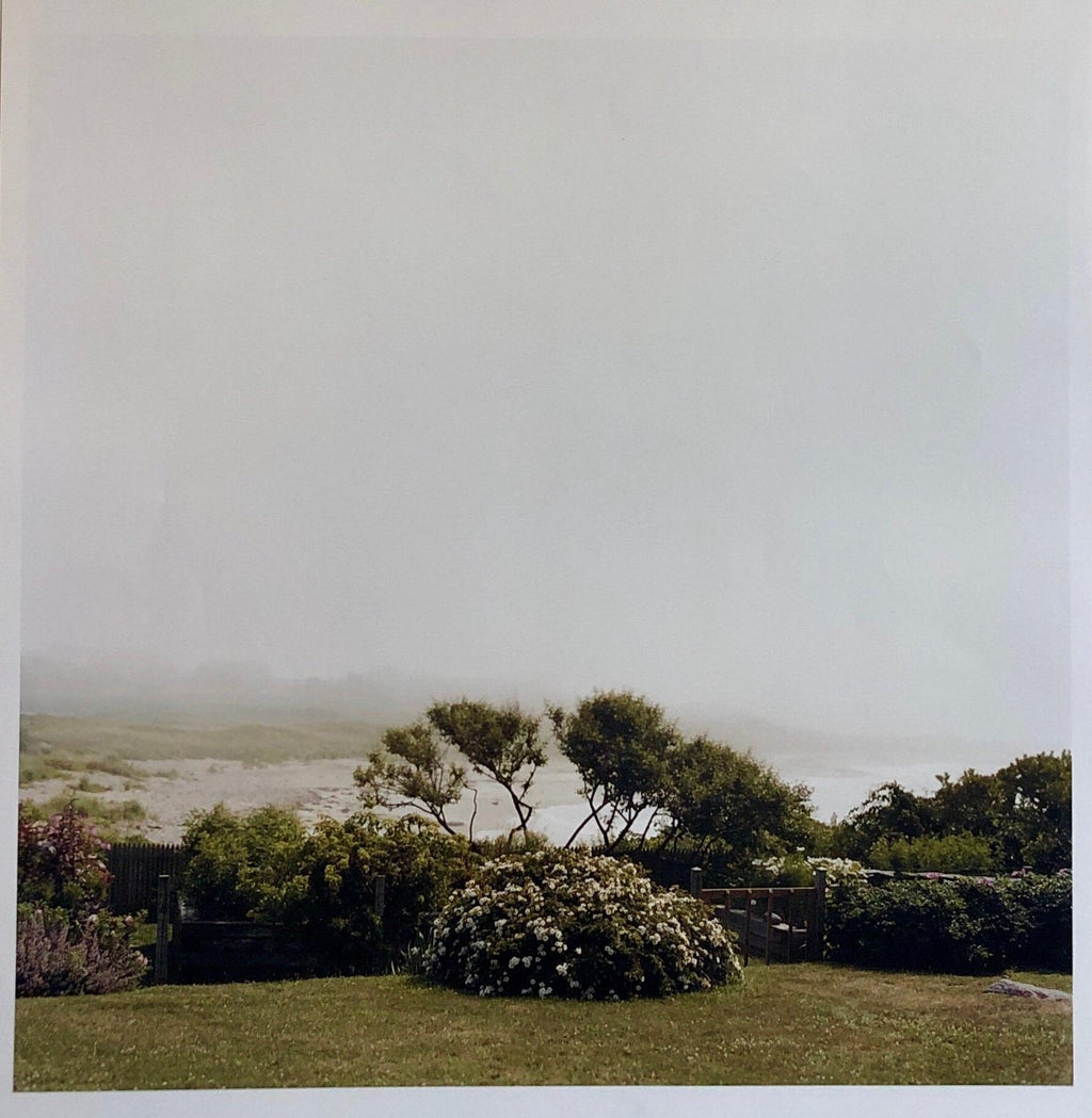 Last Light Nasturtiums, Large Format Photo 24X20 Color Photograph Beach House RI