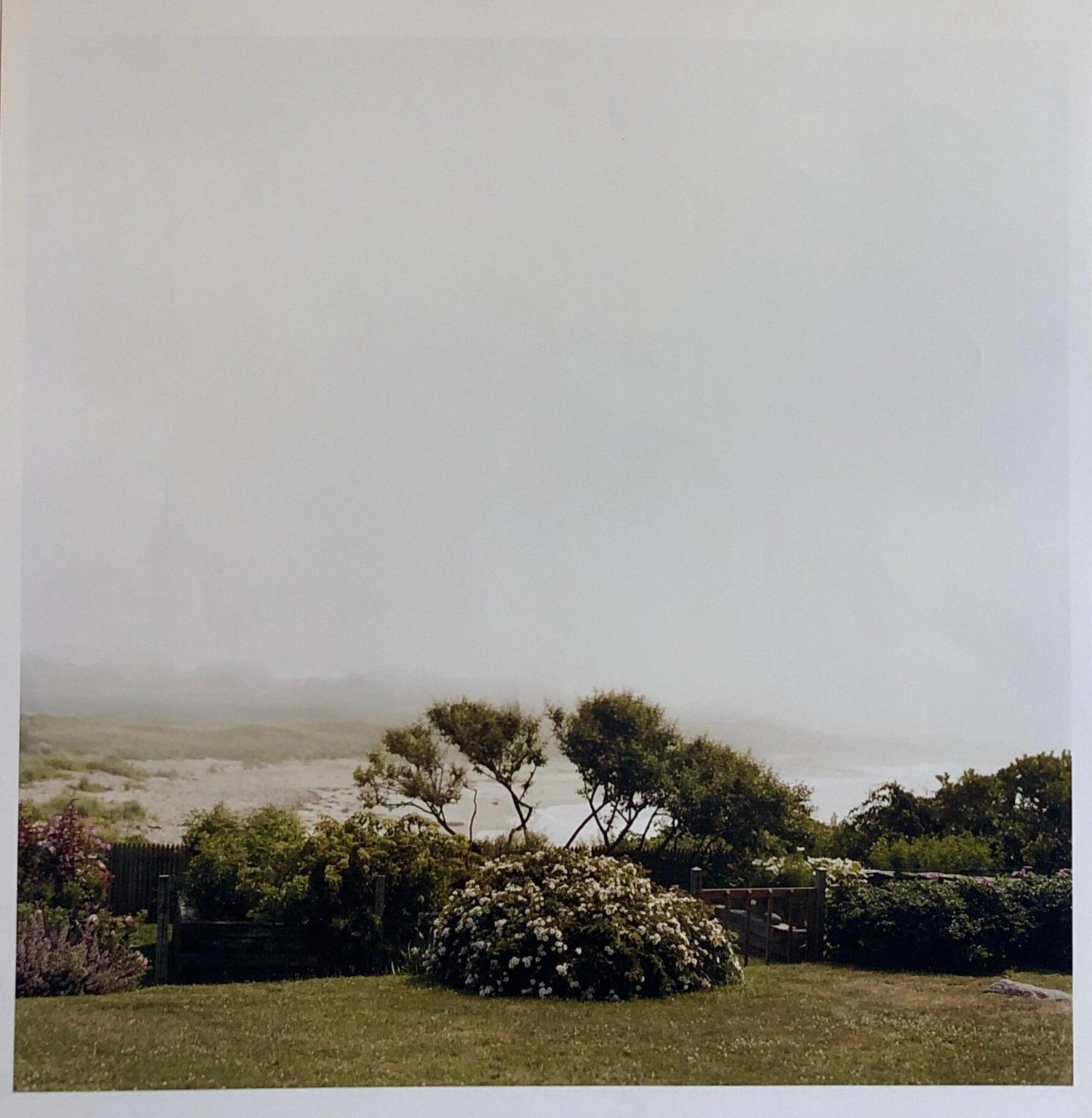 Rising, Large Format Photo 24X20 Color Photograph Beach House