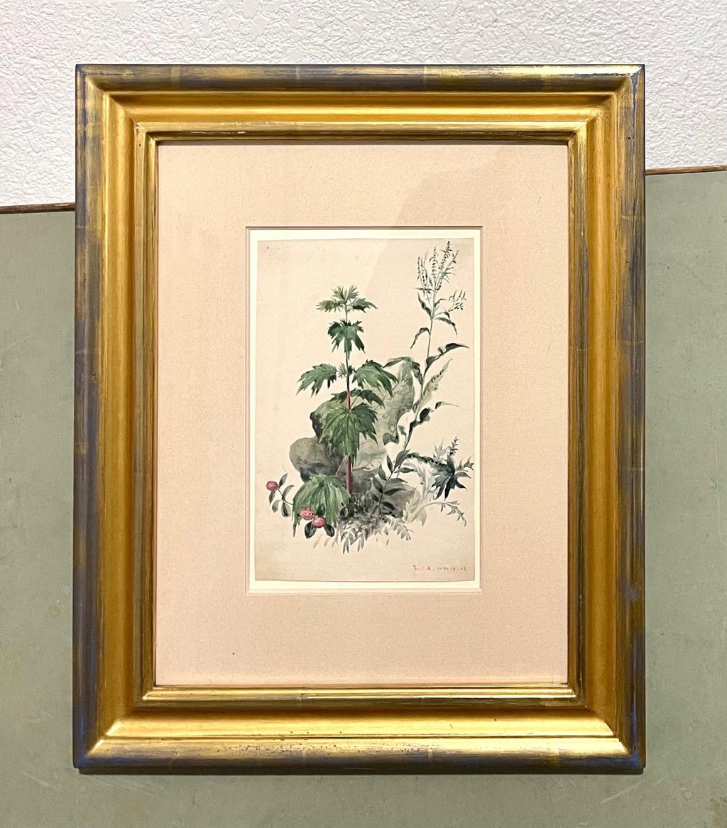 Plants, Bristol 1863 Watercolor Painting American Artist Charles DeWolf Brownell
