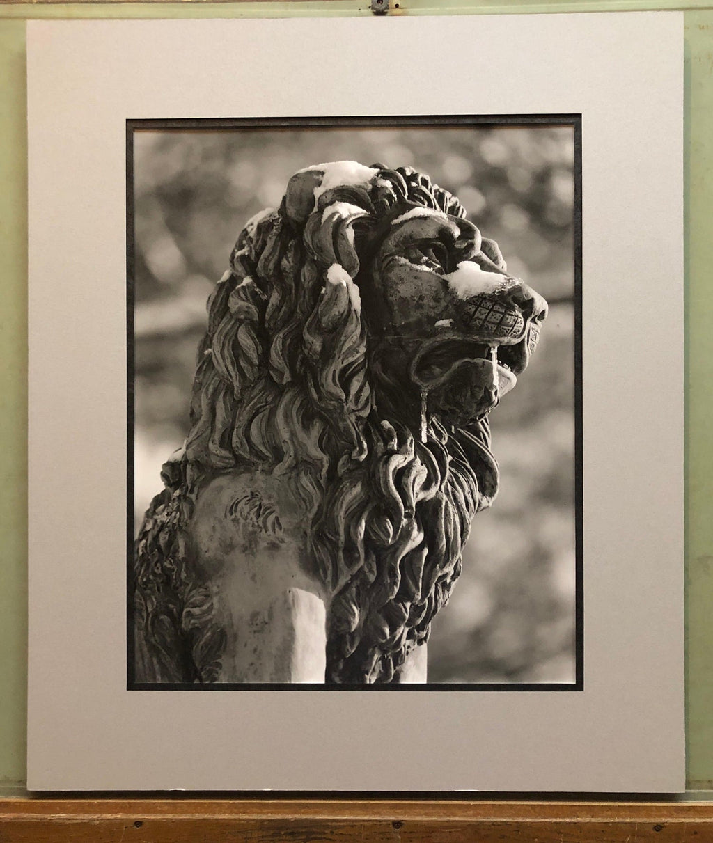 Stone Lion Sculpture Photograph, Jerusalem Vintage Silver Gelatin Photo Print