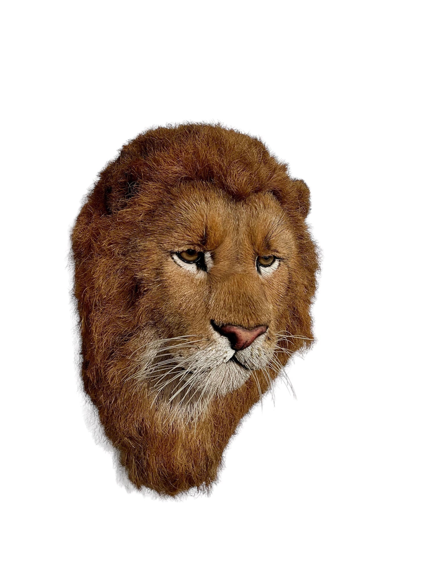 Lions Head Big Game Trophy Natural Sisal Fiber Sculpture Lion Anne Andersson Art