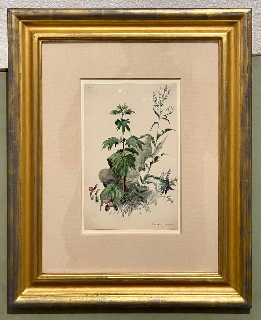 Plants, Bristol 1863 Watercolor Painting American Artist Charles DeWolf Brownell
