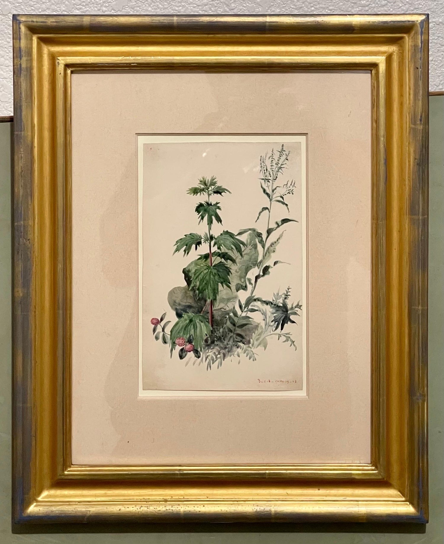 Plants, Bristol 1863 Watercolor Painting American Artist Charles DeWolf Brownell