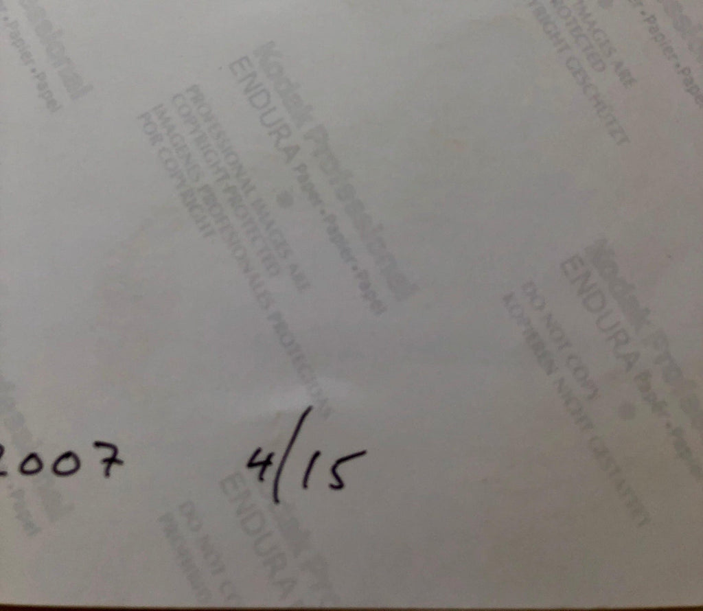 Gray Afternoon, Large Format Flower Photo 24X20 Color Photograph Beach House