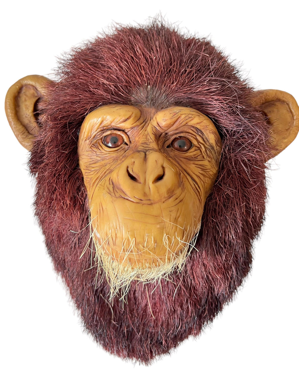 Monkey Head Natural Sisal Fiber Clay Sculpture Chimpanzee Anne Andersson Art