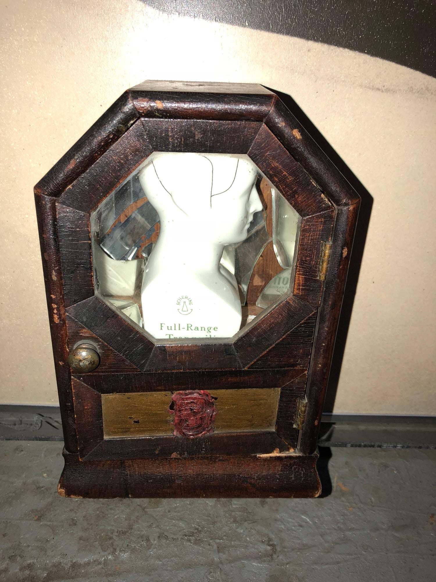 Wilhold Up the Mirror Photograph and Mixed Media Assemblage Wall Hanging Artwork