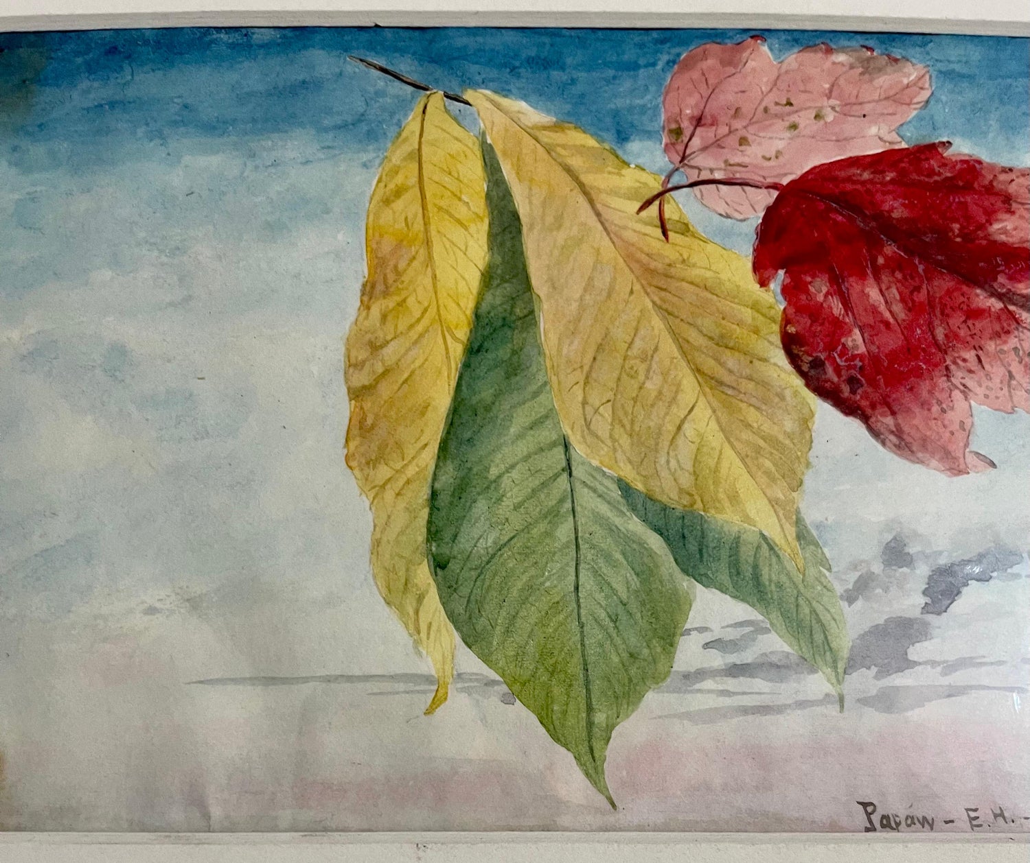 Maple Leaves Watercolor Painting 19th C. American Artist Charles DeWolf Brownell