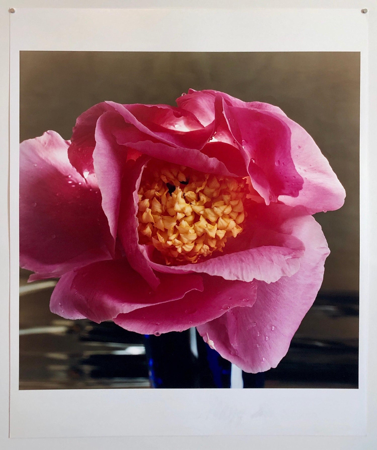 A Bientot, Large Format Flower Photo 24X20 Color Photograph Beach House