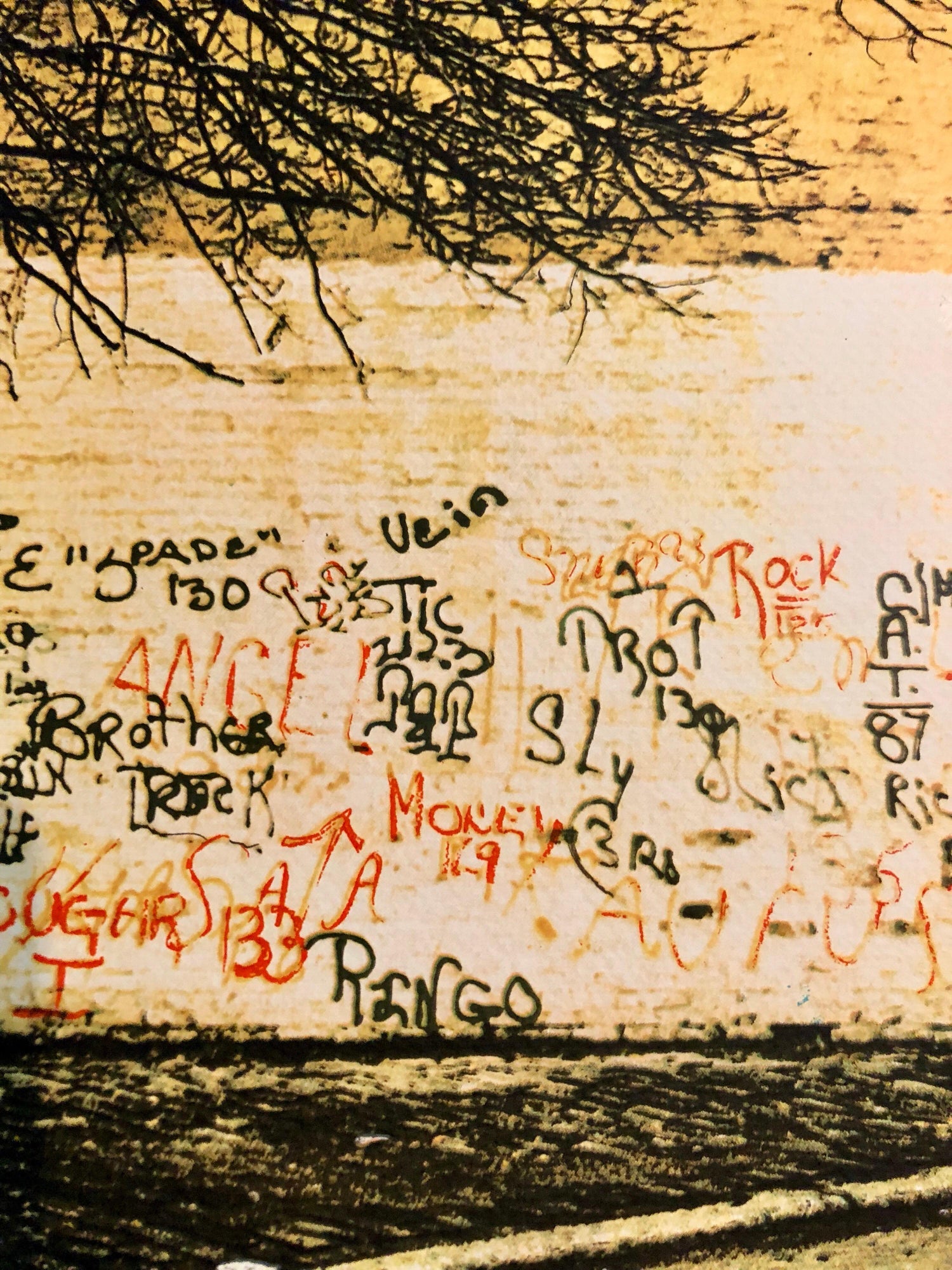 Graffiti Art Photograph Silkscreen Print Park New York City 1970s Pop Art