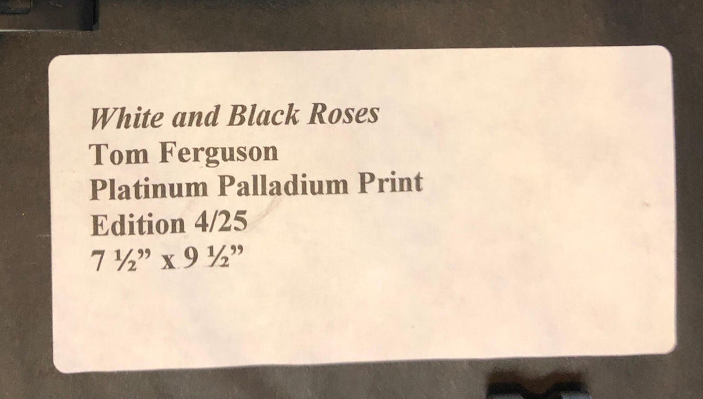 Dramatic White and Black Roses Platinum Palladium Print Photograph