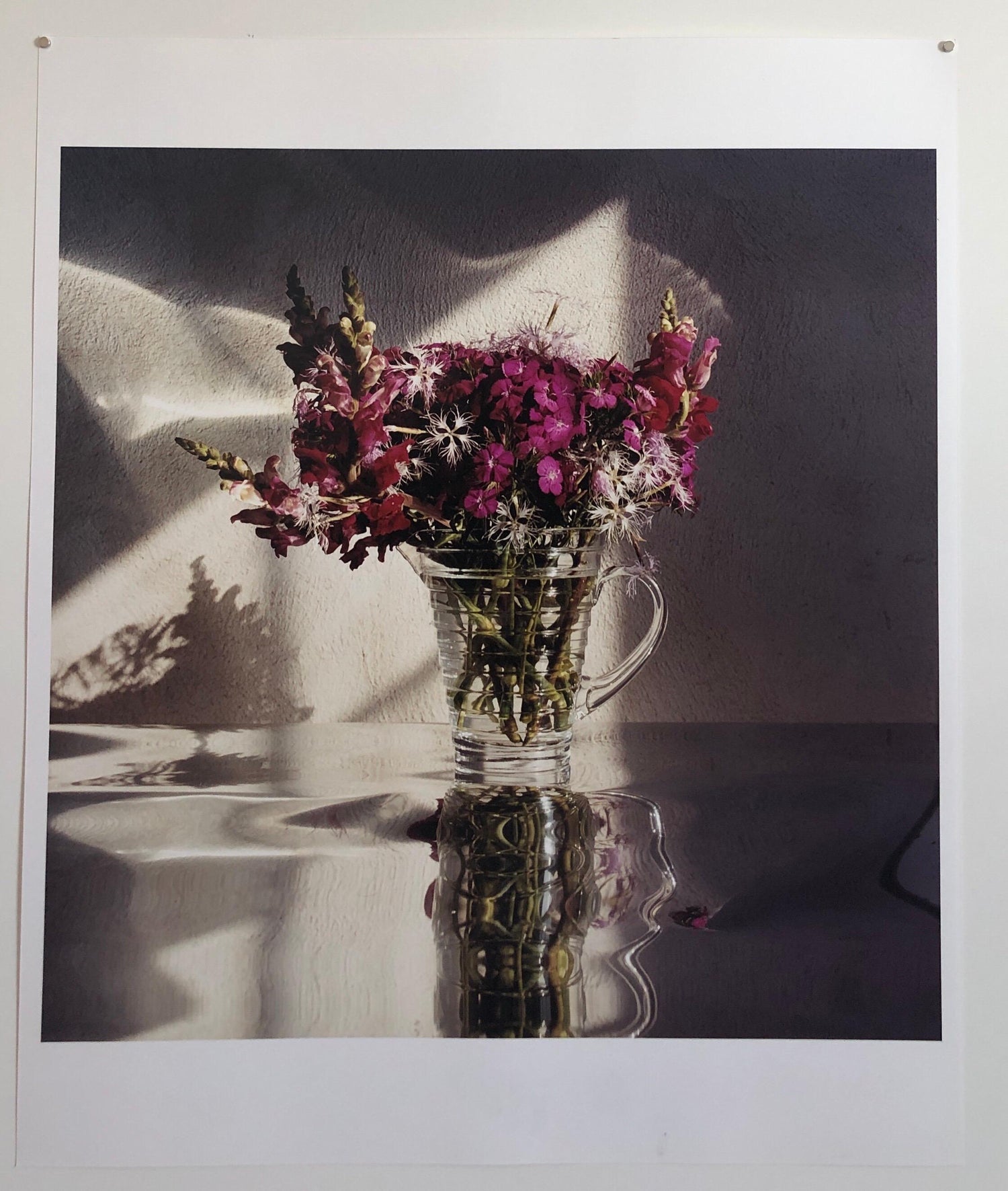 Sweet Williams, Large Format Flowers Photo 24X20 Color Photograph Beach House