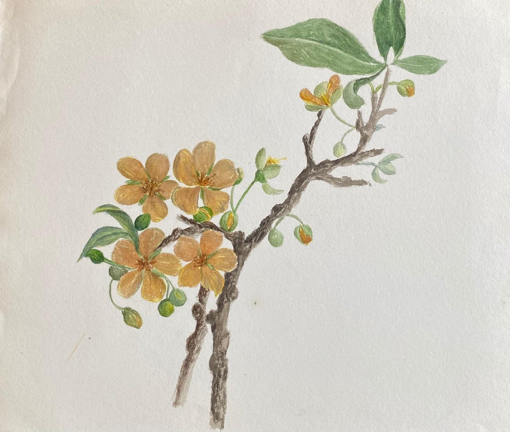 Maple Leaves Watercolor Painting 19th C. American Artist Charles DeWolf Brownell