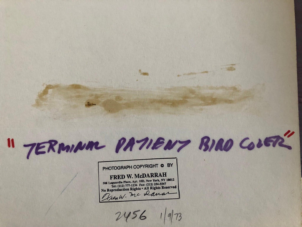 Large Vintage Print Silver Gelatin Signed Photograph Terminal Patient Bird Cover