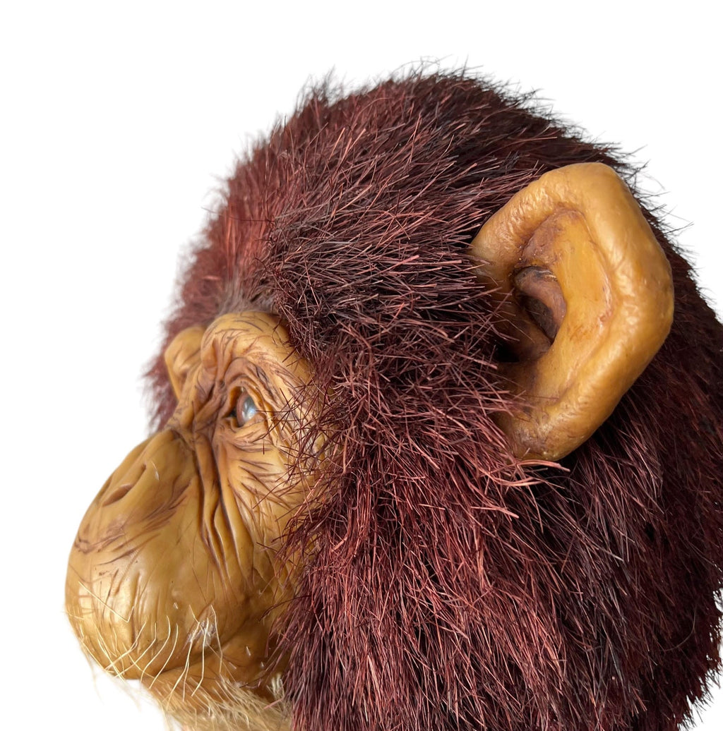 Monkey Head Natural Sisal Fiber Clay Sculpture Chimpanzee Anne Andersson Art