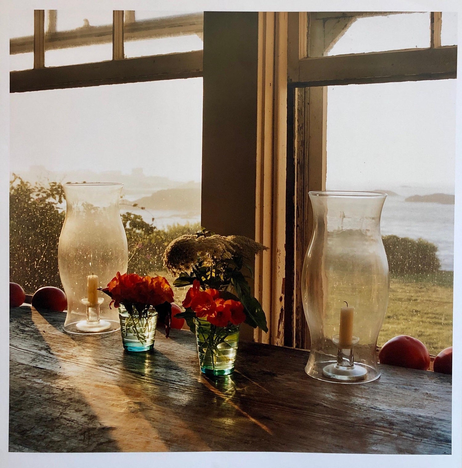 Last Light Nasturtiums, Large Format Photo 24X20 Color Photograph Beach House RI