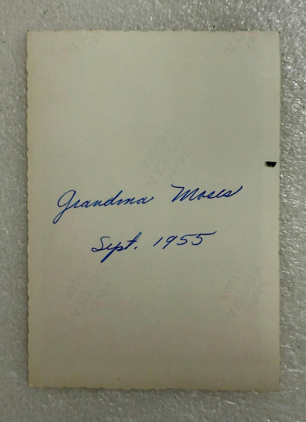Vintage Photo Archive Grandma Moses Folk Art Artist Photograph Collection