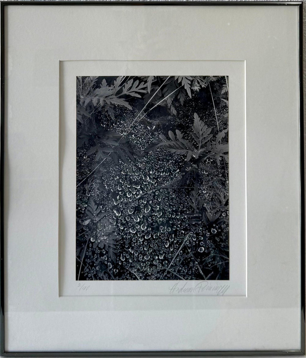 American Photographer Andreas Feininger Silver Gelatin Vintage Print