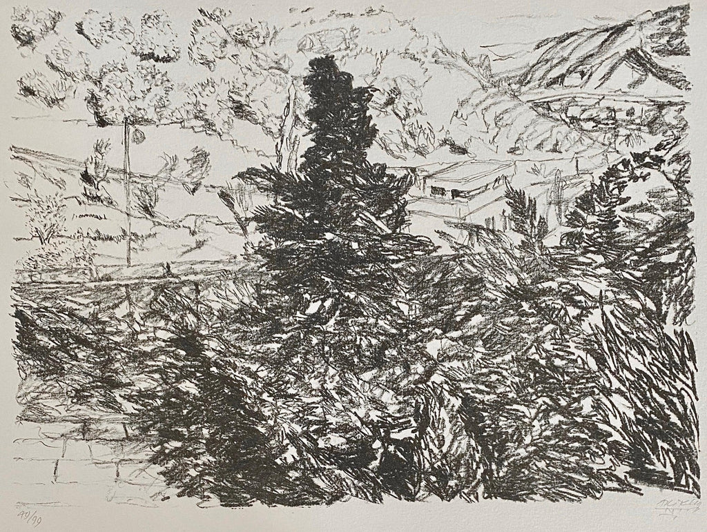 American Modernist  Sacsahuaman Landscape Aquatint Etching Philip Pearlstein