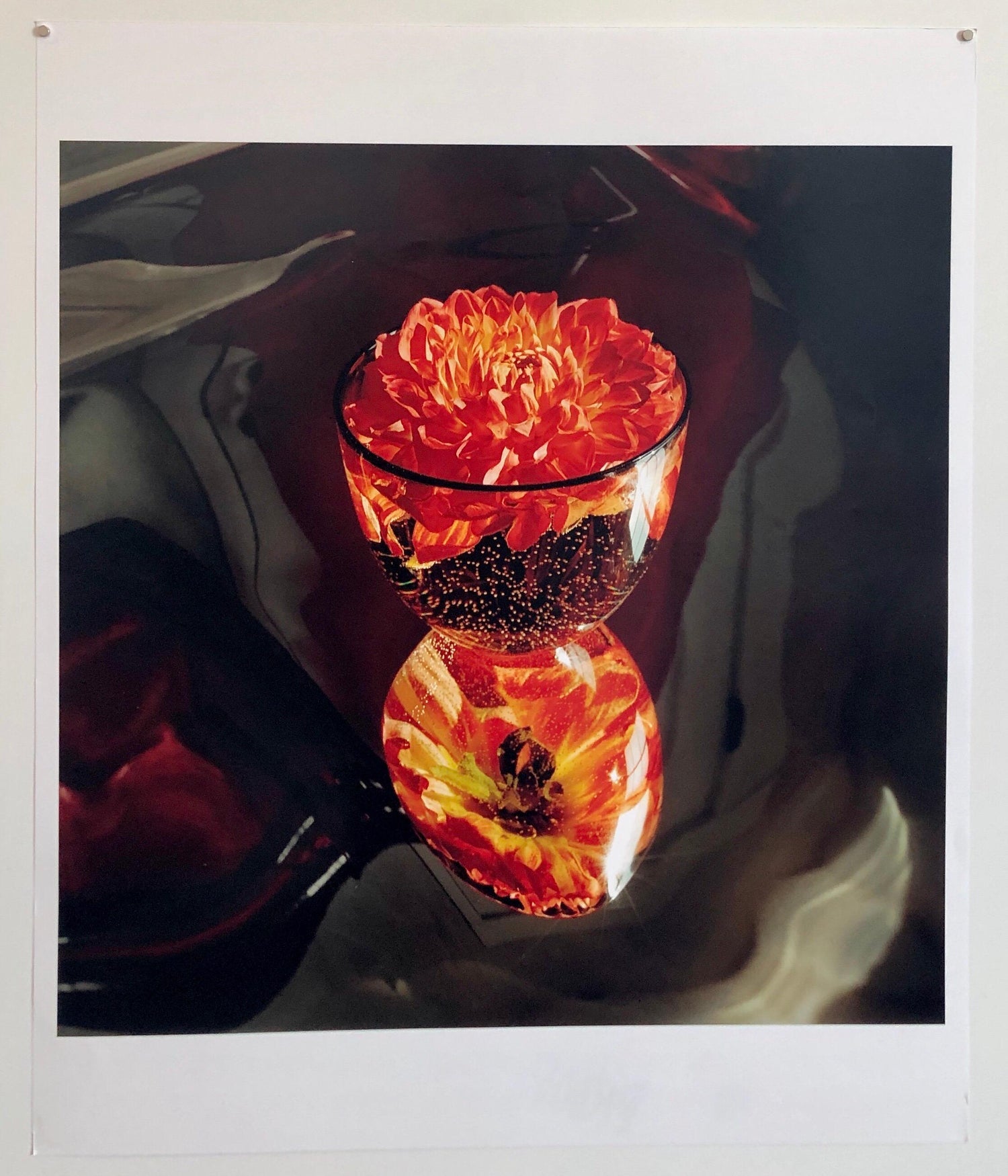 Floating, Flowers, Large Format Photo 24X20 Color Photograph Beach House
