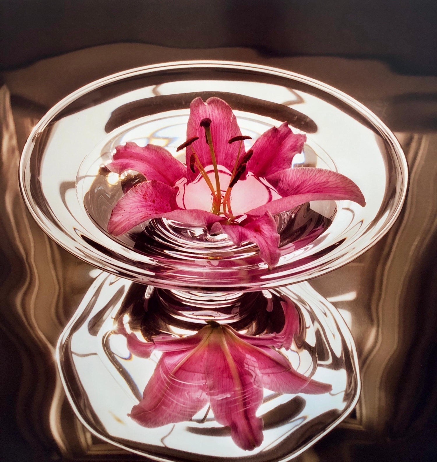 Floating Lily, Large Format Photo 24X20 Color Photograph Beach House