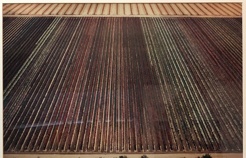 1979 Square Time Indiana, Photo Mosaic Collage Aerial Photograph, Female Aviator