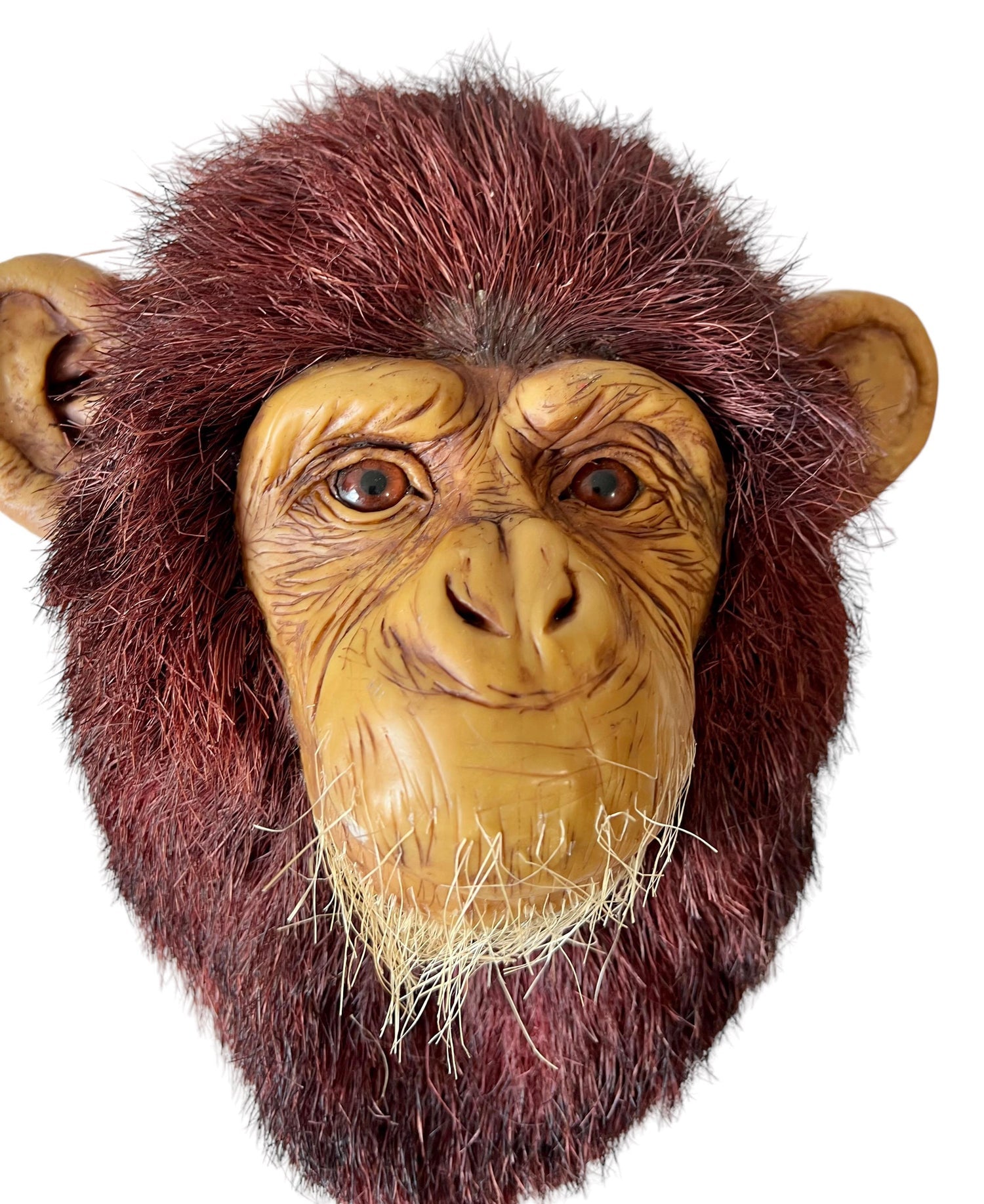 Monkey Head Natural Sisal Fiber Clay Sculpture Chimpanzee Anne Andersson Art