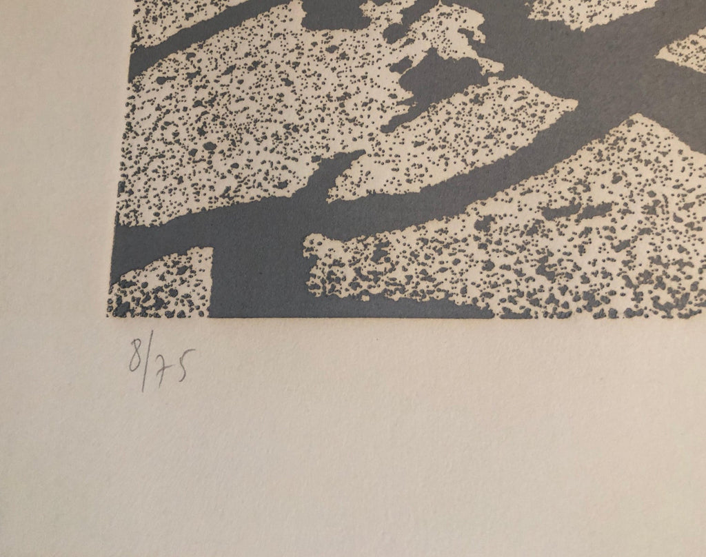 Israeli Modern Pop Art Aquatint Etching Cracked Earth Art Kadishman Lithograph
