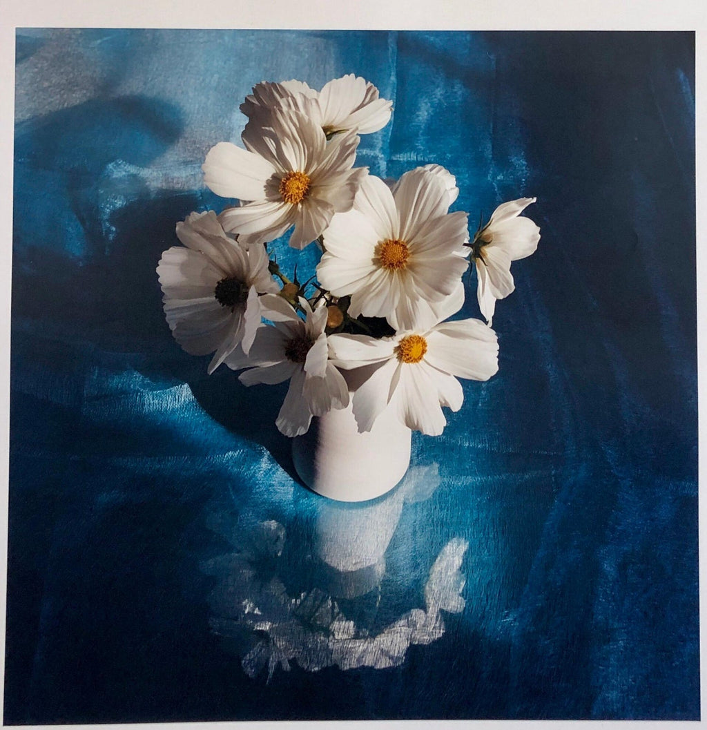 Floating Lily, Large Format Photo 24X20 Color Photograph Beach House