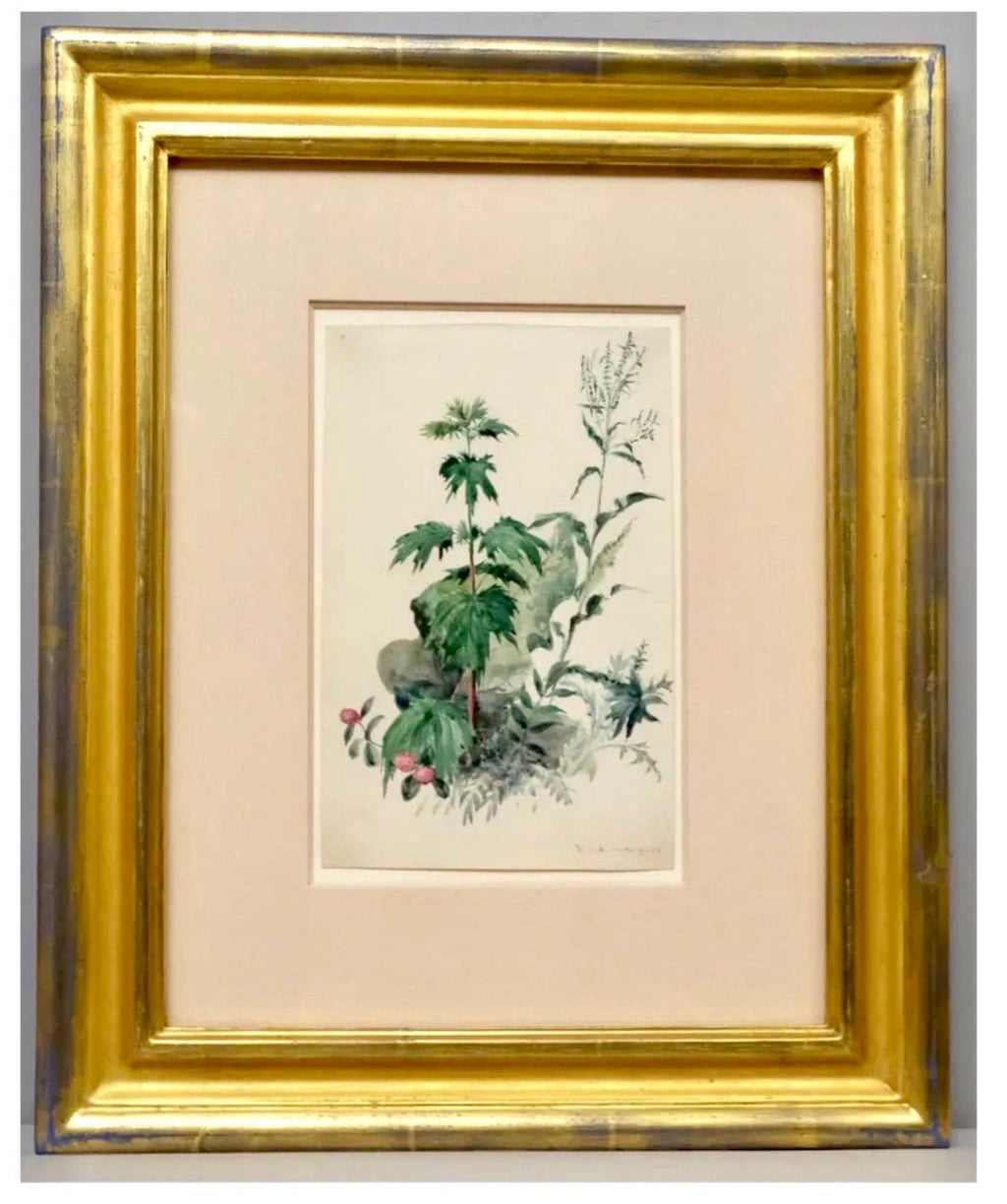 Plants, Bristol 1863 Watercolor Painting American Artist Charles DeWolf Brownell